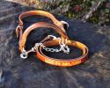 These show halters display dates and locations for sentimental value!